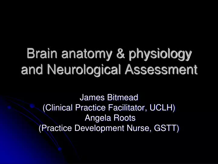 brain anatomy physiology and neurological assessment