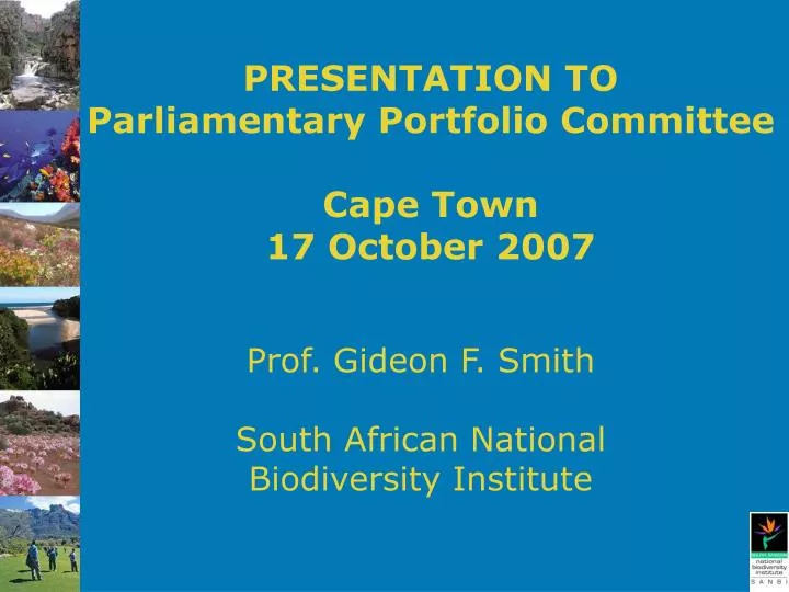 presentation to parliamentary portfolio committee cape town 17 october 2007