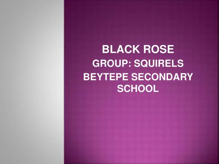 black rose group squirels beytepe secondary school