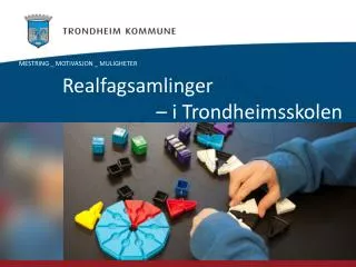 mestring motivasjon muligheter