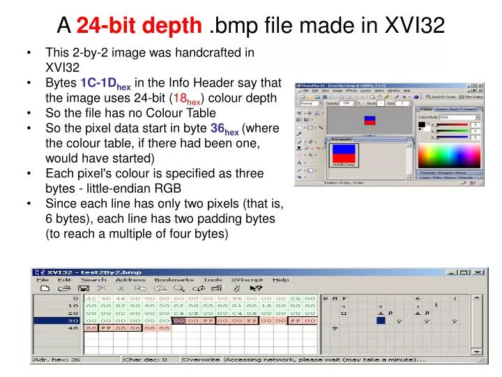 a 24 bit depth bmp file made in xvi32