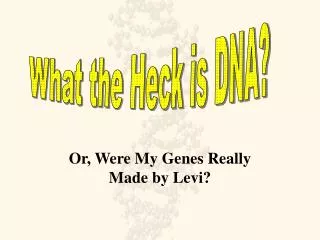 Or, Were My Genes Really Made by Levi?