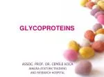 GLYCOPROTEINS - slide 1
