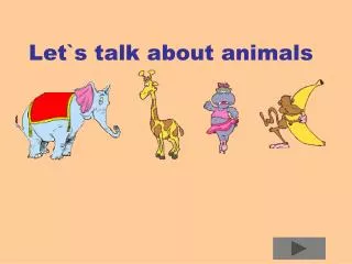 Let`s talk about animals