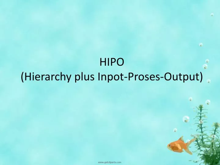 hipo hierarchy plus inpot proses output