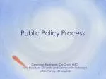 Public Policy Process - slide 1