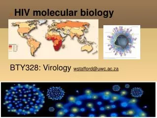 HIV molecular biology