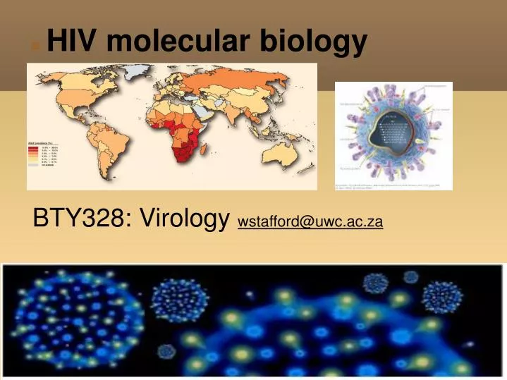 hiv molecular biology