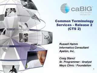 Common Terminology Services - Release 2 (CTS 2)
