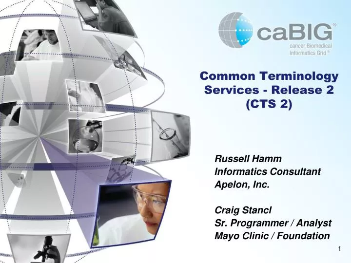 common terminology services release 2 cts 2