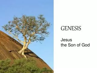 GENESIS Jesus the Son of God