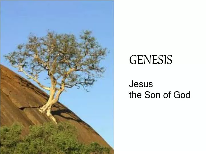 genesis jesus the son of god