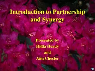 Introduction to Partnership and Synergy
