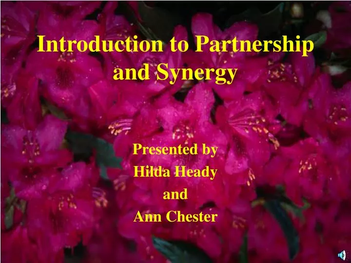 introduction to partnership and synergy