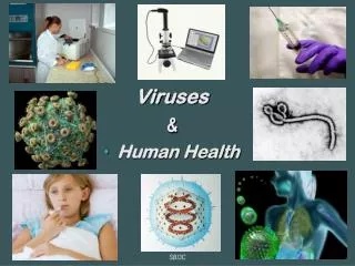 Viruses &amp; Human Health ?
