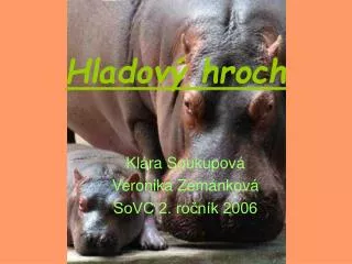 hladov hroch