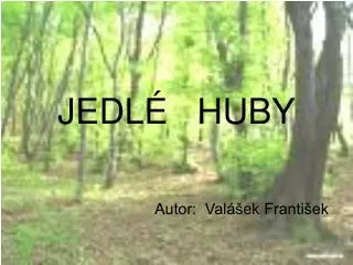 jedl huby
