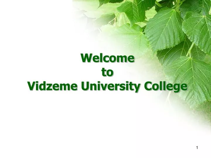 welcome to vidzeme university college