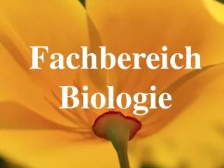 fachbereich biologie
