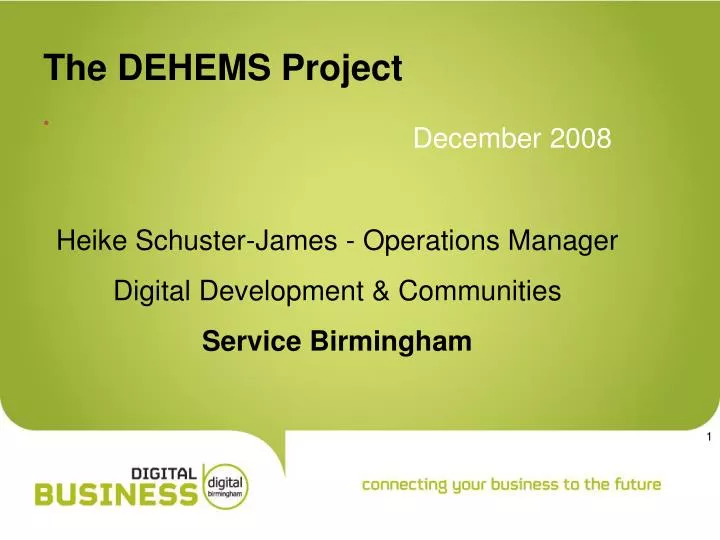 the dehems project