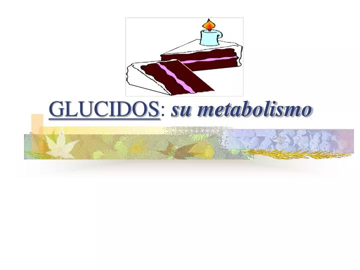 glucidos su metabolismo