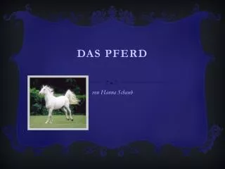 das pferd