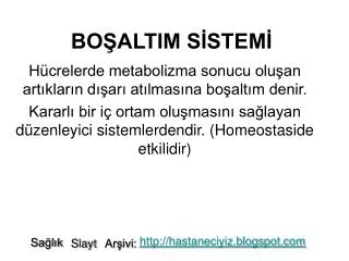 bo altim s stem