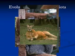 Evolution of Australian Biota