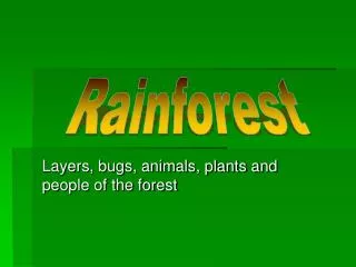 Layers, bugs, animals, plants and people of the forest
