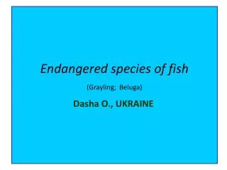 Endangered species of fish (Grayling ; Beluga )
