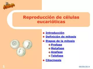 reproducci n de c lulas eucari ticas