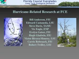 Hurricane-Related Research at FCE Bill Anderson, FIU Edward Castaneda, LSU Steve Davis, TAMU