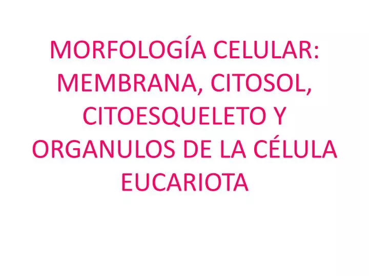 morfolog a celular membrana citosol citoesqueleto y organulos de la c lula eucariota