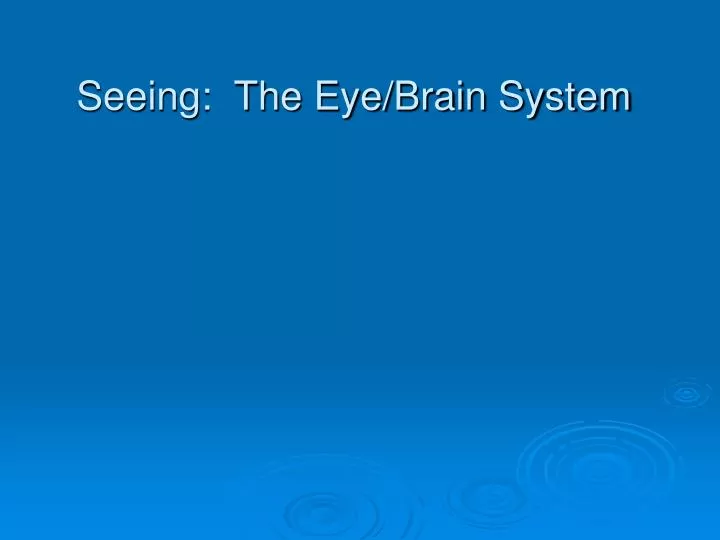 seeing the eye brain system