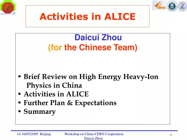 activities in alice