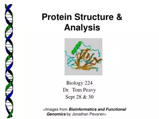 Biology 224 Dr. Tom Peavy Sept 28 &amp; 30