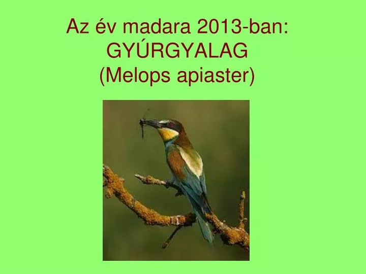az v madara 2013 ban gy rgyalag melops apiaster