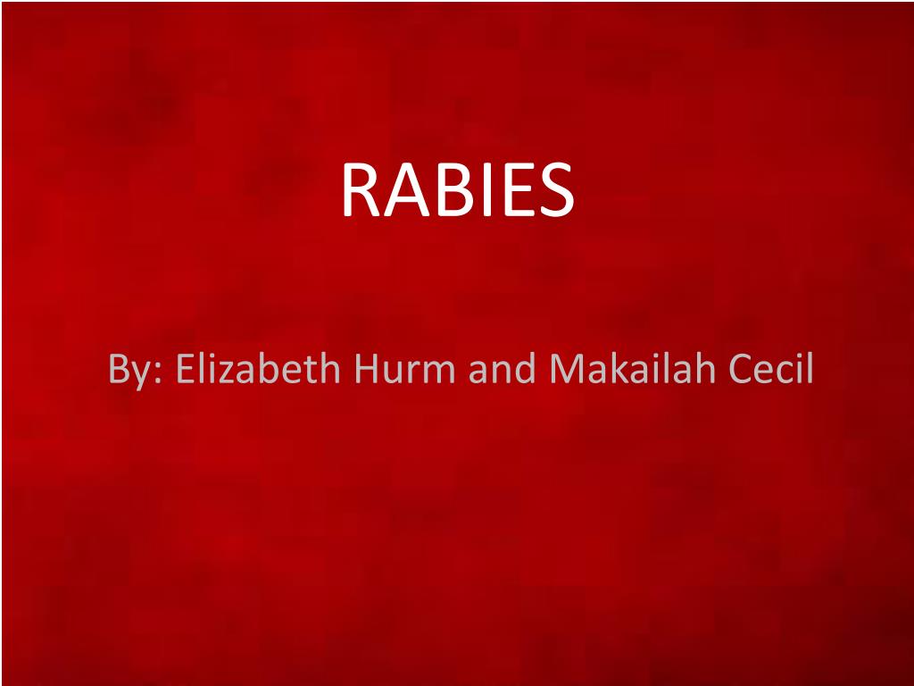 PPT - RABIES PowerPoint Presentation, free download - ID:4158450