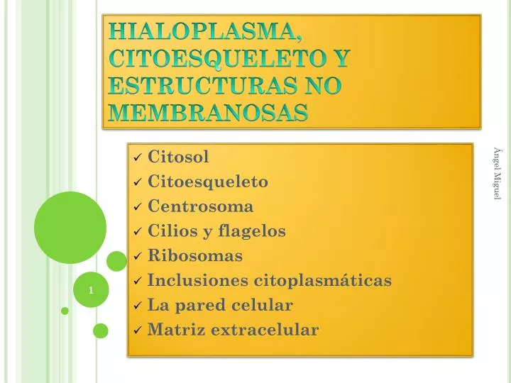 hialoplasma citoesqueleto y estructuras no membranosas
