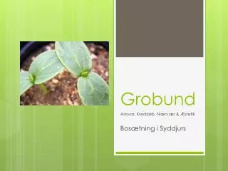 grobund
