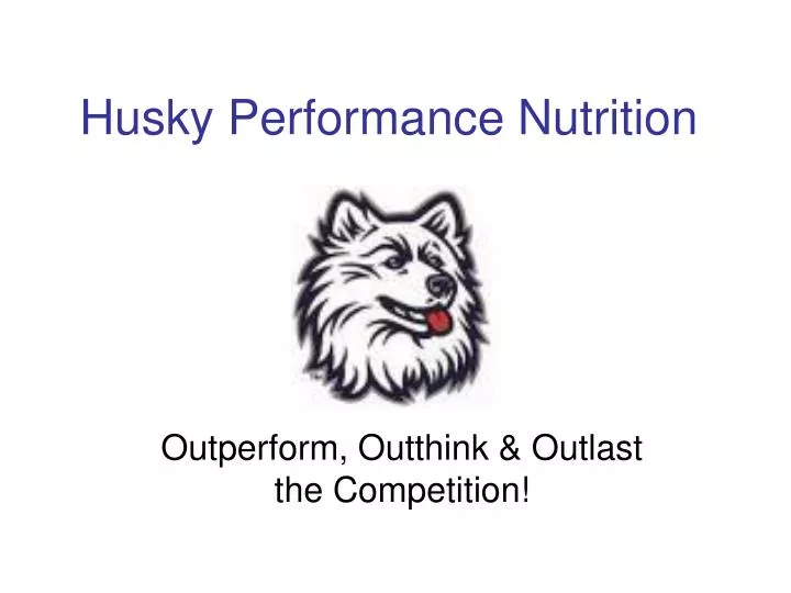 husky performance nutrition