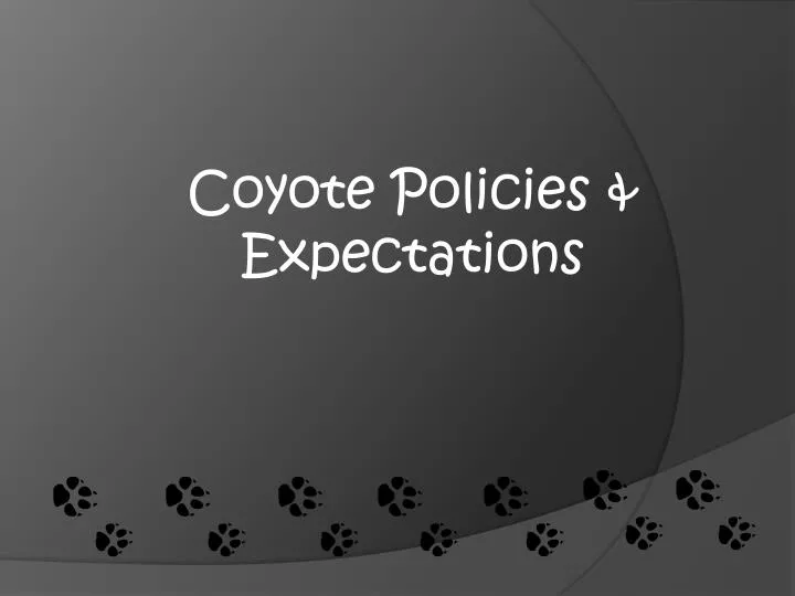 coyote policies expectations