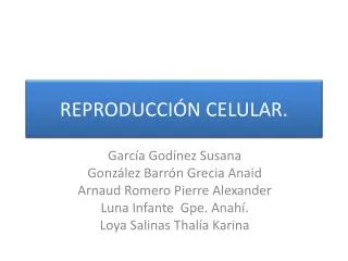 reproducci n celular