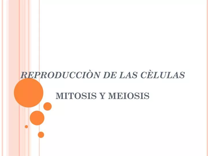 reproducci n de las c lulas mitosis y meiosis