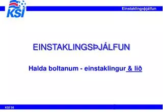 einstaklings j lfun
