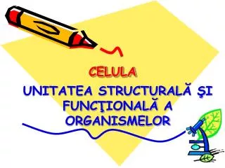 celula
