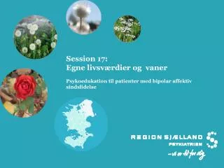 session 17 egne livsv rdier og vaner psykoedukation til patienter med bipolar affektiv sindslidelse