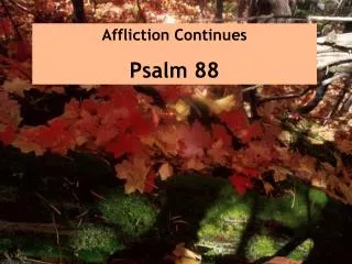 Affliction Continues Psalm 88