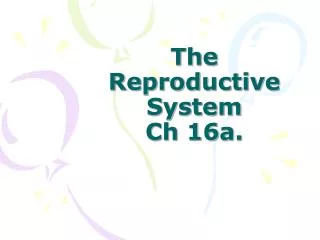 The Reproductive System Ch 16a.
