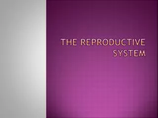 THE REPRODUCTIVE SYSTEM